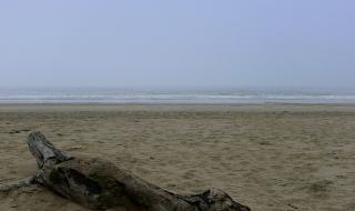 珠海飞沙滩 珠海飞沙滩