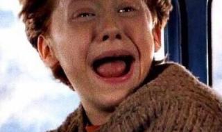 罗恩韦斯莱 罗恩韦斯莱