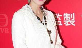 2046刘嘉玲 2046刘嘉玲