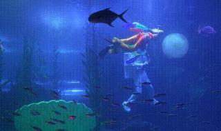 玉兔新年祝福语大全 玉兔新年祝福语大全