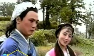 黄梅戏天仙配韩再芬