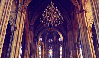 塞尔维亚十大特产